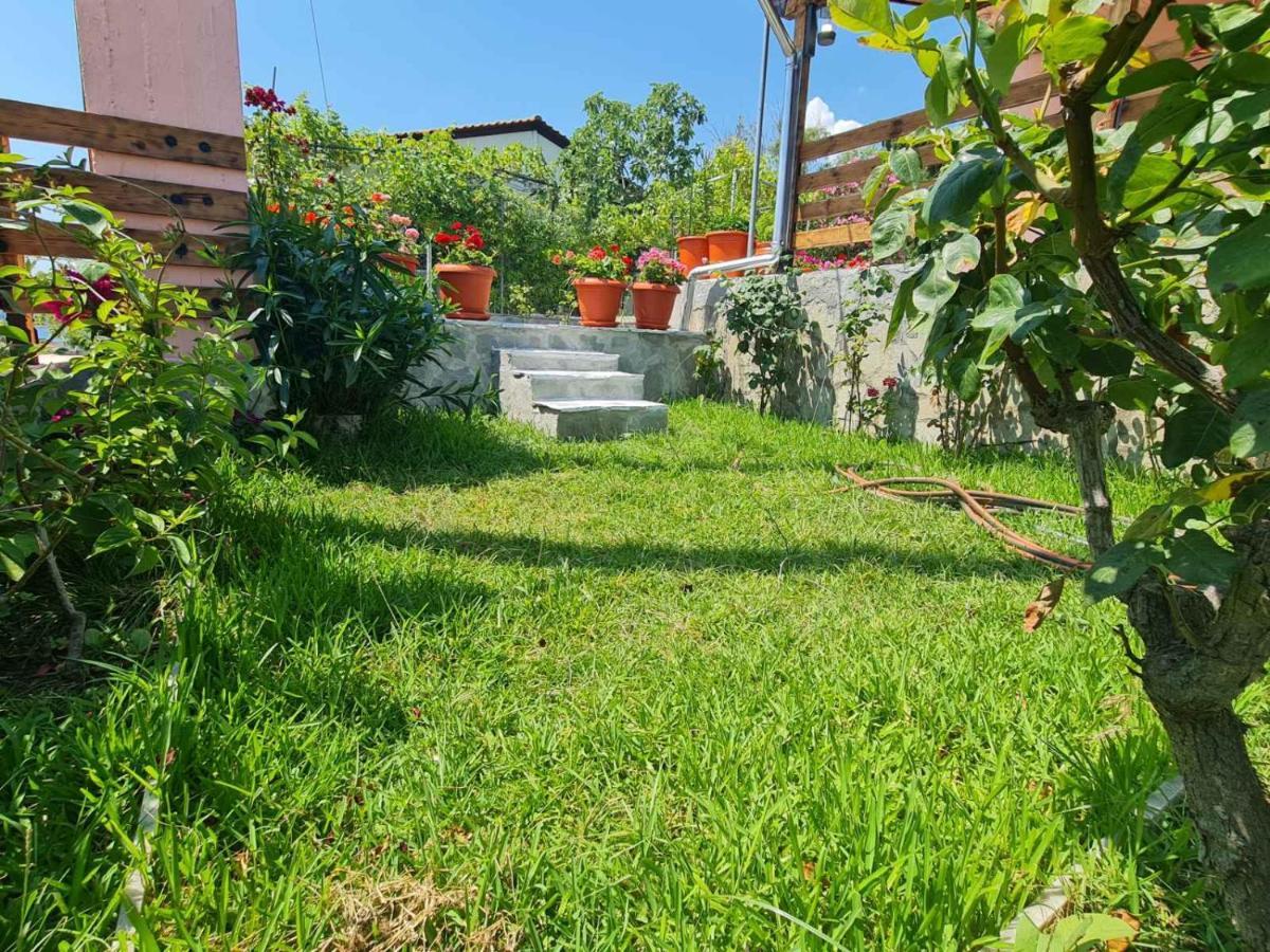 Stella'S Garden Villa Palaiontsiflikion Luaran gambar