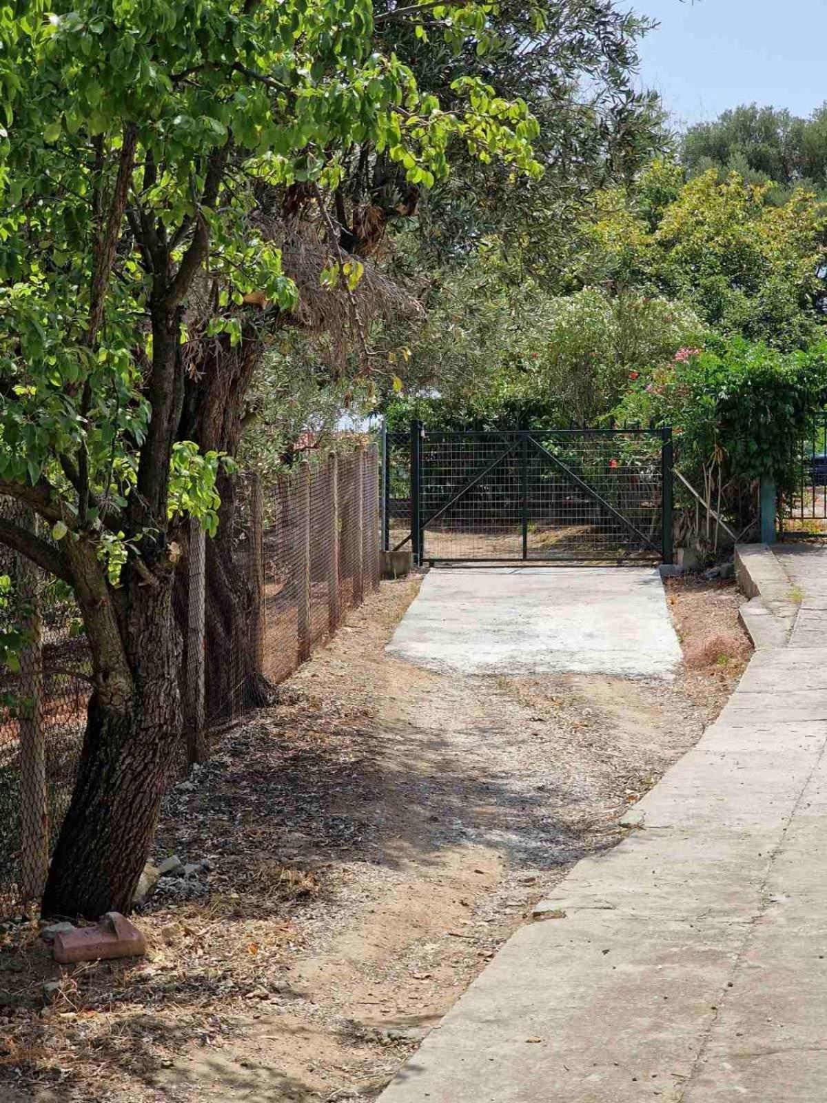 Stella'S Garden Villa Palaiontsiflikion Luaran gambar